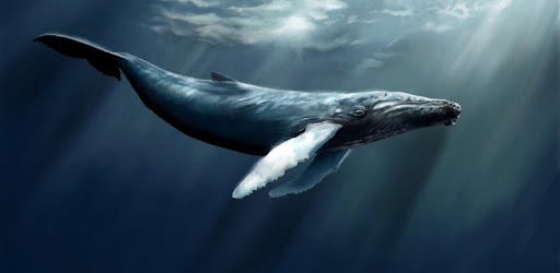 Blue Whale Lock Screen PC screenshot