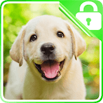 Labrador Retriever Lock Screen for PC Labrador Retriever Lock Screen for PC