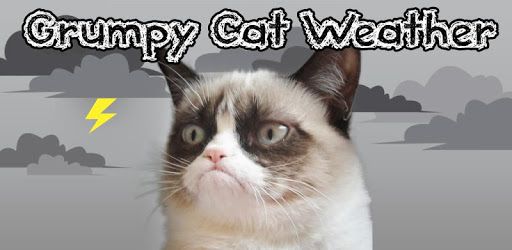 Grumpy Cat Weather PC screenshot