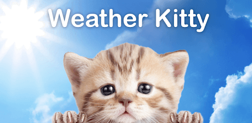 Weather Kitty - Forecast, Radar & Cat Pictures PC screenshot