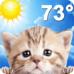 Weather Kitty - Forecast, Radar & Cat Pictures for PC