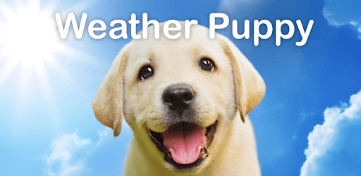 Weather Puppy - Forecast, Radar & Pet Dog Pictures PC screenshot Weather Puppy - Forecast, Radar & Pet Dog Pictures PC screenshot