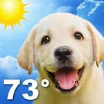 Weather Puppy - Forecast, Radar & Pet Dog Pictures icon
