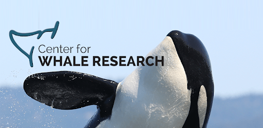 Center for Whale Research PC screenshot