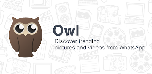 Owl for PC - Free Download & Install on Windows PC, Mac