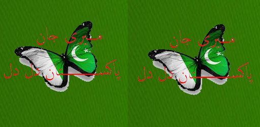 Meri Jan Pakistan Dil Dil PC screenshot