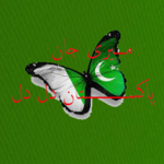 Meri Jan Pakistan Dil Dil for PC