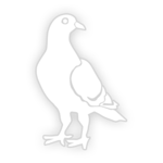 Whicons - White Icon Pack icon