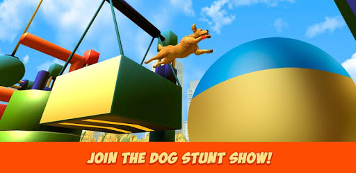 Pet Dog Training Paw Run PC screenshot