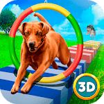 Pet Dog Training Paw Run for PC