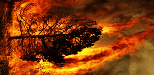 BC Wildfire PC screenshot