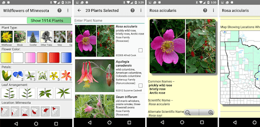 Minnesota Wildflower Search PC screenshot Minnesota Wildflower Search PC screenshot
