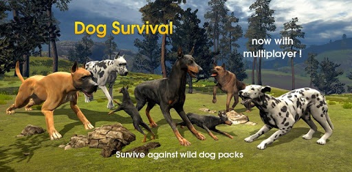 Dog Survival Simulator PC screenshot