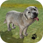 Sheepdog Simulator for PC