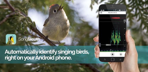 Song Sleuth: Auto Bird Song ID w/ David Sibley PC screenshot Song Sleuth: Auto Bird Song ID w/ David Sibley PC screenshot