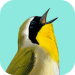 Song Sleuth: Auto Bird Song ID w/ David Sibley icon