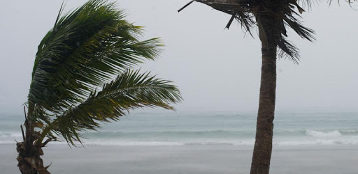 WindAlert: Windy Conditions & Forecasts PC screenshot WindAlert: Windy Conditions & Forecasts PC screenshot