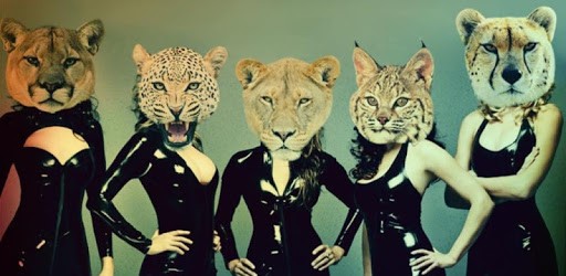 Animal Face PC screenshot Animal Face PC screenshot