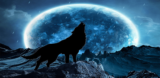 Blue Moon Wolf Live Wallpaper PC screenshot Blue Moon Wolf Live Wallpaper PC screenshot