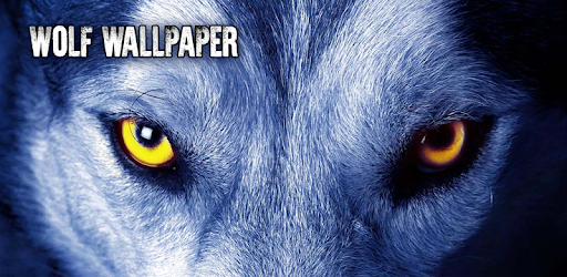 Wolf Wallpaper PC screenshot Wolf Wallpaper PC screenshot