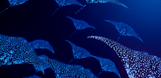 Mantaray Live Wallpaper PC screenshot