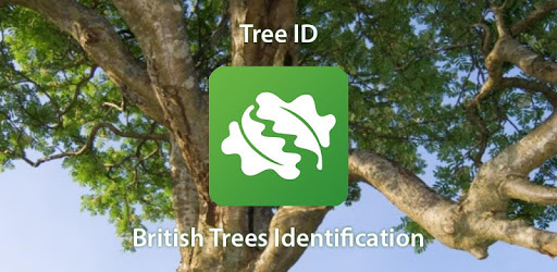 Tree ID - British trees PC screenshot