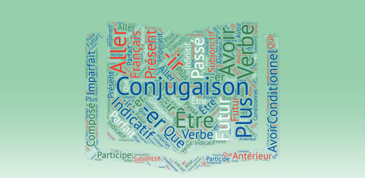 French Verb Conjugation (Conjugaison) PC screenshot