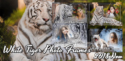 White tiger Photo Frame PC screenshot White tiger Photo Frame PC screenshot