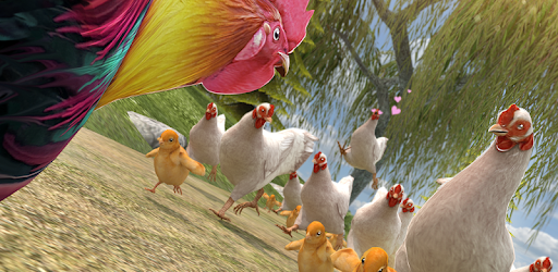 Rooster Chicks - Chicken Farm PC screenshot