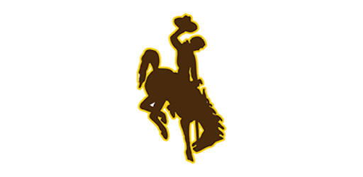 WYO Cowboys & Cowgirls Gameday PC screenshot