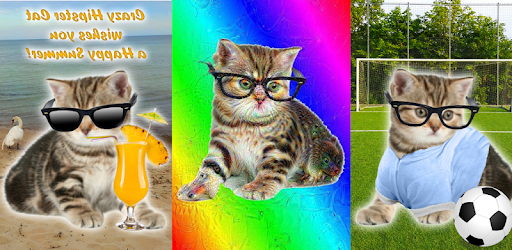 Crazy Hipster Cat PC screenshot Crazy Hipster Cat PC screenshot
