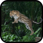 Wild Leopard Simulator 3D for PC