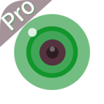 iCSee Pro icon