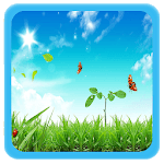 Beautiful Wallpaper for PC Beautiful Wallpaper for PC