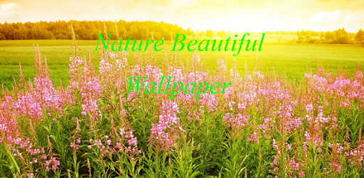 Nature HD Wallpaper PC screenshot Nature HD Wallpaper PC screenshot