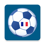 Ligue 1 icon
