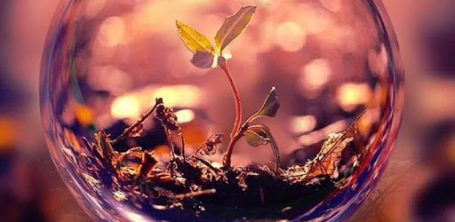 Eye of Life Live Wallpaper PC screenshot Eye of Life Live Wallpaper PC screenshot