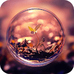 Eye of Life Live Wallpaper for PC Eye of Life Live Wallpaper for PC