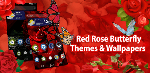 Red Rose Butterfly flowers themes and wallpaper PC screenshot