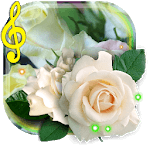 Rose White live wallpaper for PC Rose White live wallpaper for PC