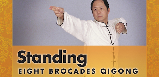 Eight Brocades Qigong Standing PC screenshot