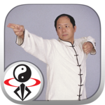 Eight Brocades Qigong Standing icon