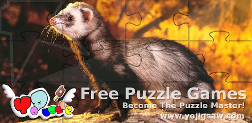 Ferrets Jigsaw Puzzles PC screenshot Ferrets Jigsaw Puzzles PC screenshot