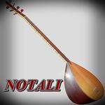 Virtual Baglama With Notes for PC Virtual Baglama With Notes for PC
