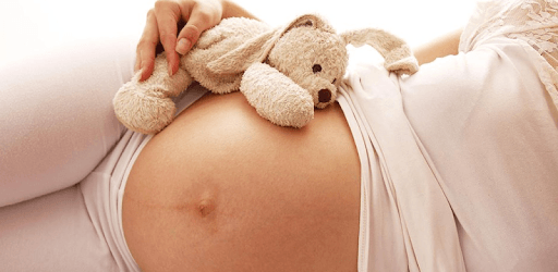 Pregnancy Book PC screenshot