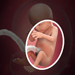 Pregnancy Book for PC