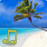 Sea Sounds Ocean Nature Sounds for PC Sea Sounds Ocean Nature Sounds for PC
