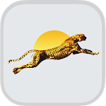 The Speed Coaching New App for PC The Speed Coaching New App for PC