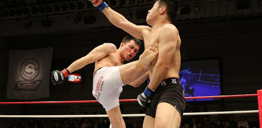 MMA training system PC screenshot MMA training system PC screenshot