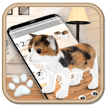 3d cute cat for PC 3d cute cat for PC